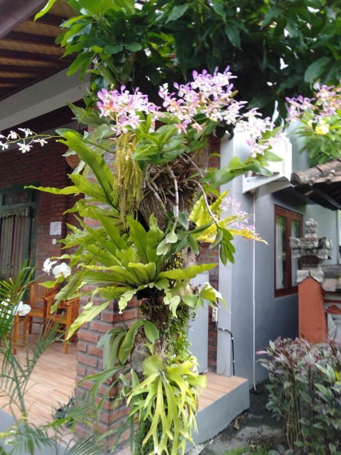 Twins Homestay Canggu Eksteriør bilde